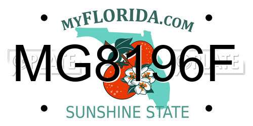 MG8196F Florida License Plate