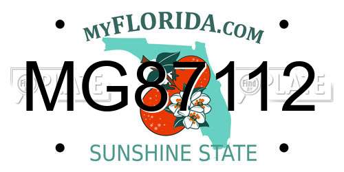 MG87112 Florida License Plate