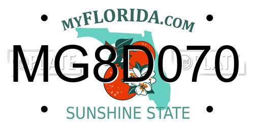 MG8D070 Florida License Plate