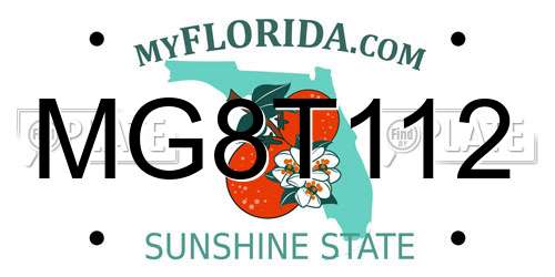 MG8T112 Florida License Plate