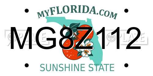 MG8Z112 Florida License Plate