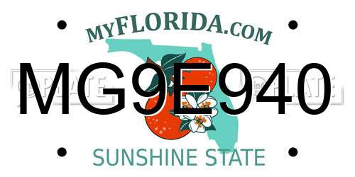 MG9E940 Florida License Plate