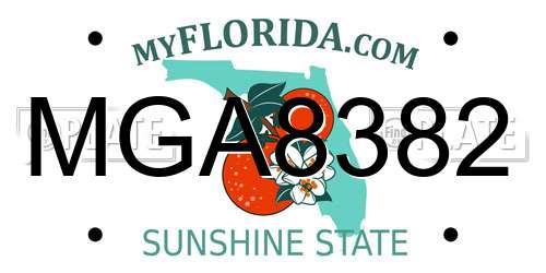MGA8382 Florida License Plate