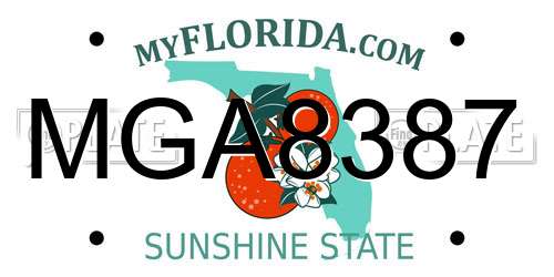 MGA8387 Florida License Plate