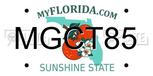 MGCT85 Florida License Plate