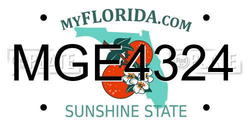 MGE4324 Florida License Plate
