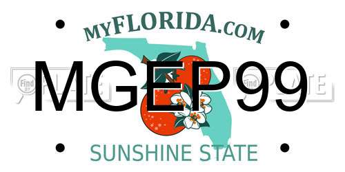 MGEP99 Florida License Plate