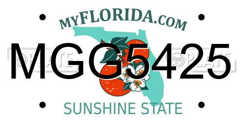 MGG5425 Florida License Plate