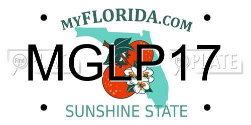 MGLP17 Florida License Plate