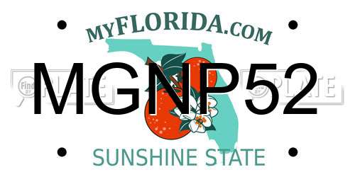 MGNP52 Florida License Plate