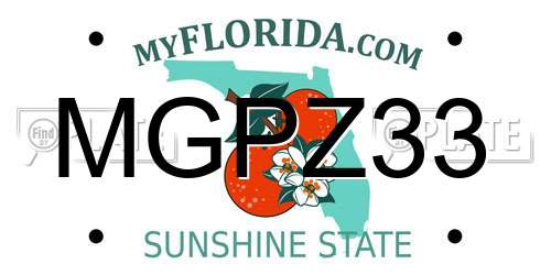 MGPZ33 Florida License Plate