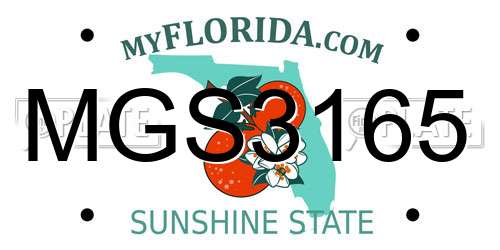 MGS3165 Florida License Plate