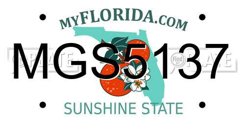 MGS5137 Florida License Plate