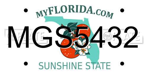 MGS5432 Florida License Plate