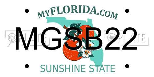 MGSB22 Florida License Plate