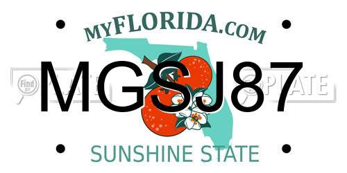MGSJ87 Florida License Plate