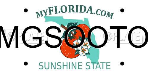 MGSOOTO Florida License Plate