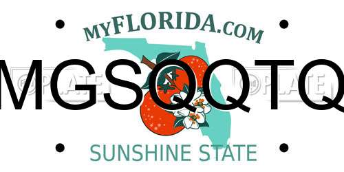 MGSQQTQ Florida License Plate