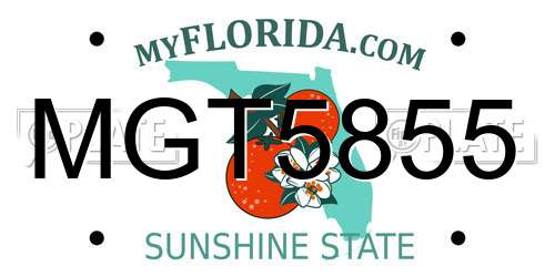 MGT5855 Florida License Plate