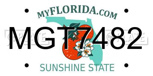 MGT7482 Florida License Plate