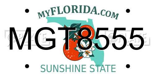 MGT8555 Florida License Plate