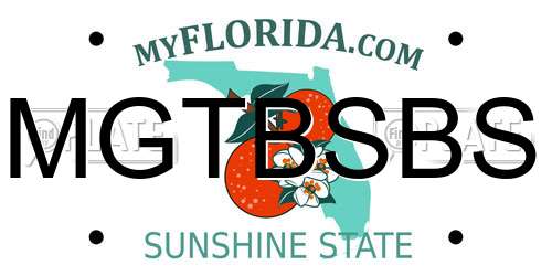 MGTBSBS Florida License Plate