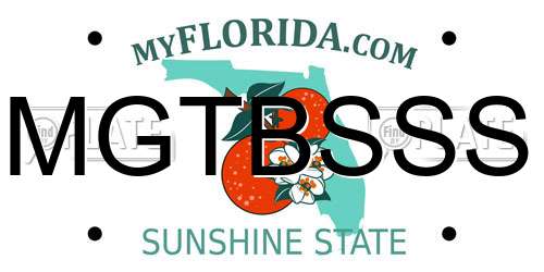 MGTBSSS Florida License Plate