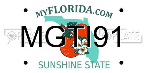 MGTI91 Florida License Plate