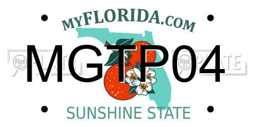 MGTP04 Florida License Plate