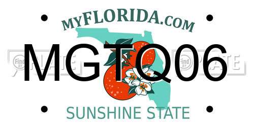 MGTQ06 Florida License Plate