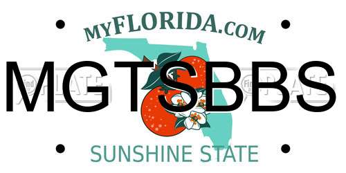 MGTSBBS Florida License Plate