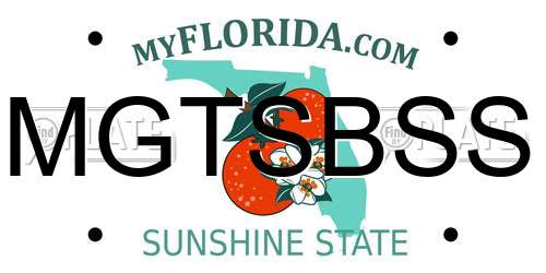 MGTSBSS Florida License Plate