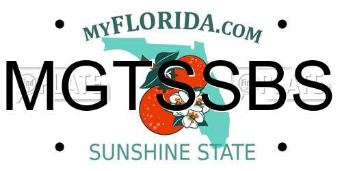 MGTSSBS Florida License Plate