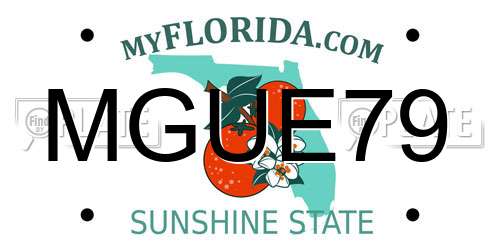 MGUE79 Florida License Plate