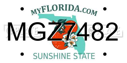MGZ7482 Florida License Plate