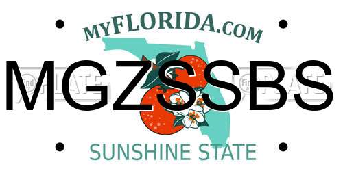 MGZSSBS Florida License Plate