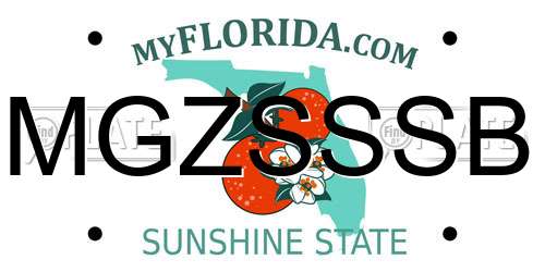 MGZSSSB Florida License Plate