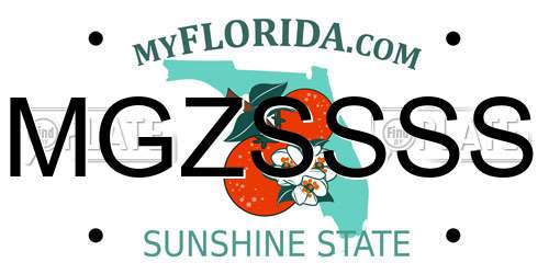 MGZSSSS Florida License Plate