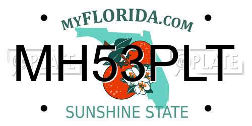 MH53PLT Florida License Plate