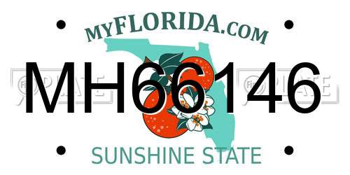 MH66146 Florida License Plate