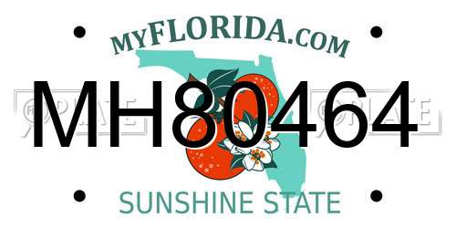 MH80464 Florida License Plate