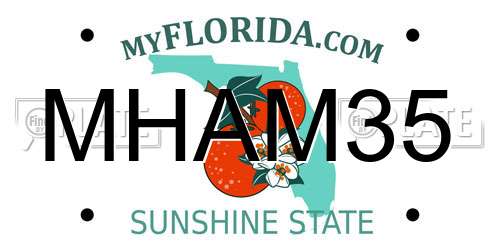 MHAM35 Florida License Plate