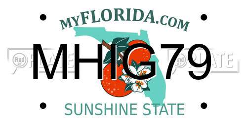 MHIG79 Florida License Plate