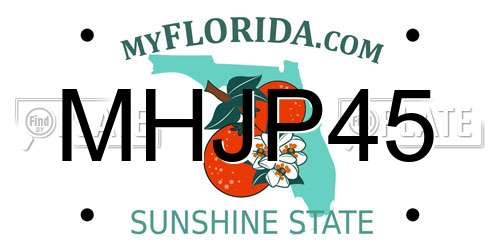 MHJP45 Florida License Plate