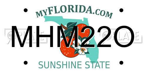 MHM22O Florida License Plate