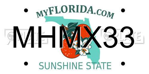 MHMX33 Florida License Plate