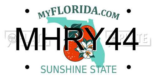 MHRY44 Florida License Plate