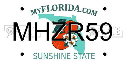 MHZR59 Florida License Plate
