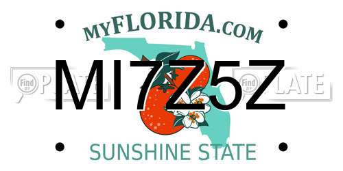 MI7Z5Z Florida License Plate