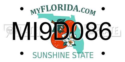 MI9D086 Florida License Plate
